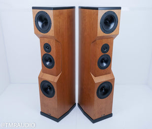 Tyler Acoustics D2X Floorstanding Speakers / Mastering Monitors