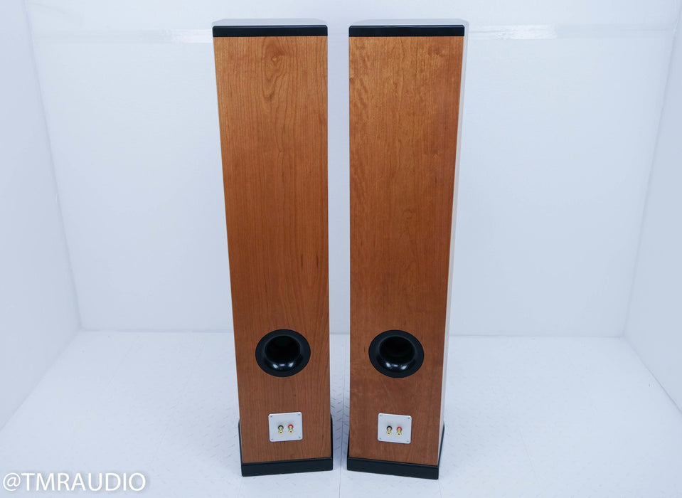 Tyler Acoustics D2X Floorstanding Speakers / Mastering Monitors
