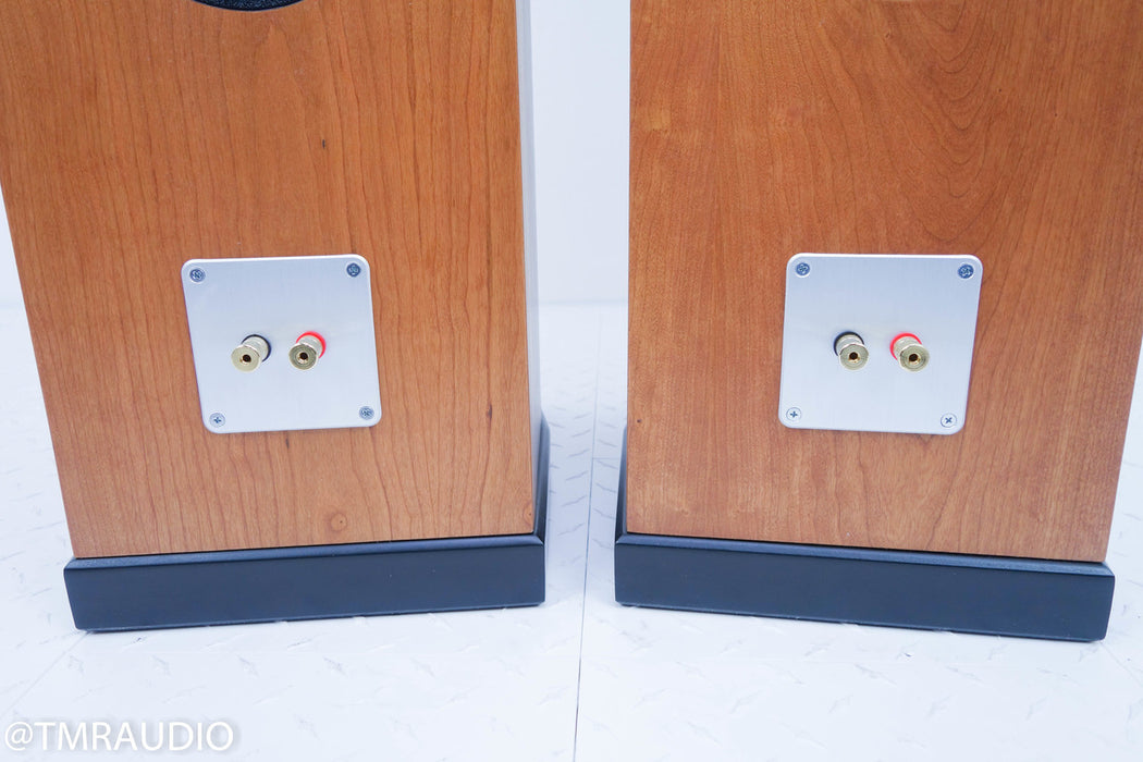 Tyler Acoustics D2X Floorstanding Speakers / Mastering Monitors