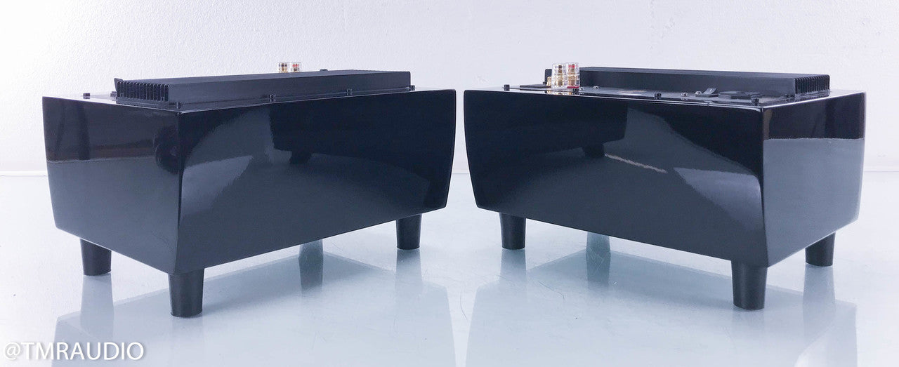 Tube Audio Design TAD-125 Hibachi Mono Power Amplifiers
