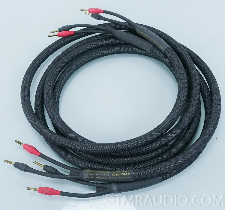 Coincident CST-1 Speaker Cables 8' Pair