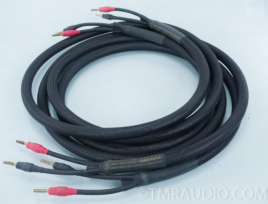 Coincident CST-1 Speaker Cables 8' Pair