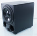 Paradigm DSP-3100 v.2 Subwoofer 1