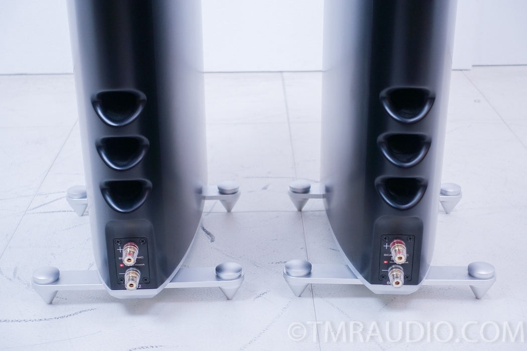RAIDHO / Scansonic MB-6 Flagship Line Array Speakers