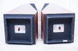 Thiel CS3.5 Speakers