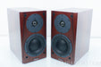 Dynaudio Focus 110 Speakers