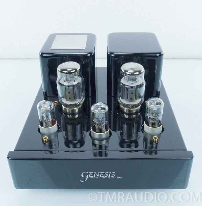 Genesis M60 Monoblock Tube Amplifier