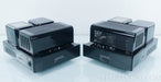 Genesis M60 Monoblock Tube Amplifier