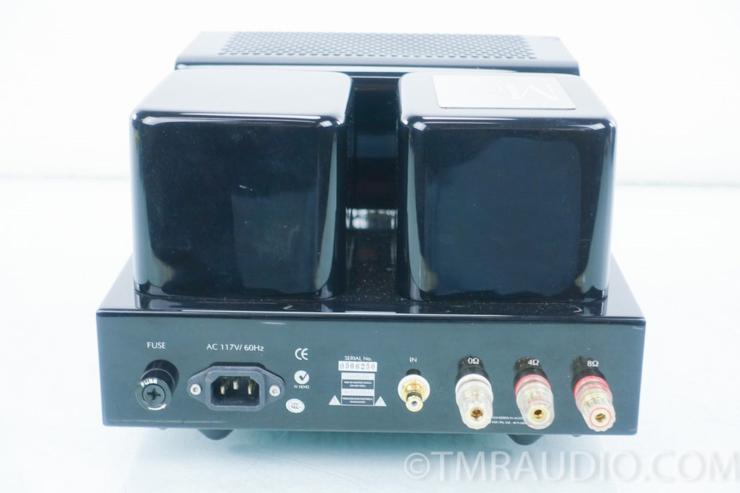 Genesis M60 Monoblock Tube Amplifier