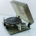 Oracle Delphi MK 1 Turntable (no tonearm)