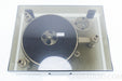 Oracle Delphi MK 1 Turntable (no tonearm)