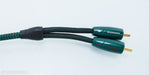 AudioQuest Evergreen RCA cables