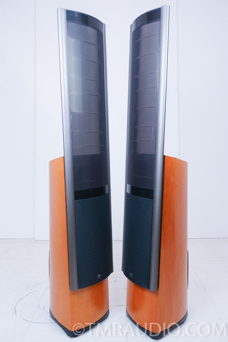 Martin Logan Clarity Electrostatic Hybrid Speakers