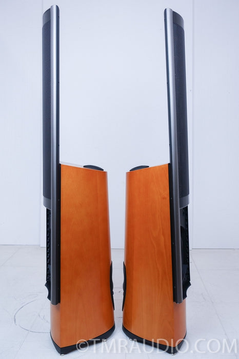 Martin Logan Clarity Electrostatic Hybrid Speakers