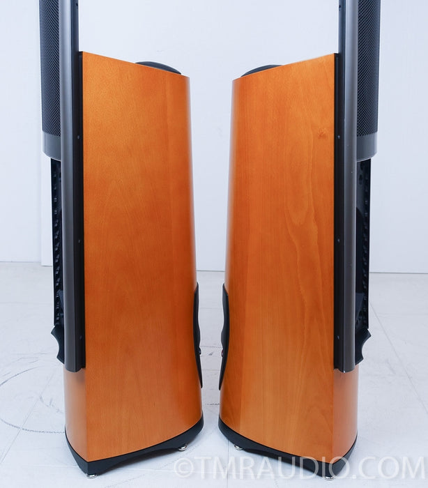 Martin Logan Clarity Electrostatic Hybrid Speakers