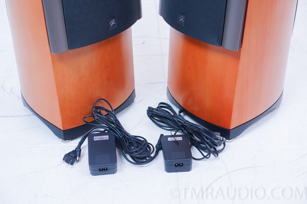 Martin Logan Clarity Electrostatic Hybrid Speakers