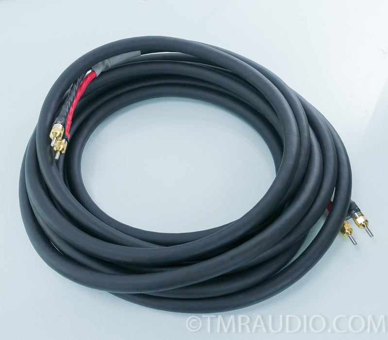 Cardas Golden Reference Speaker Cables