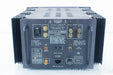 Lamm Industries M1.2 Reference Monoblock Amplifiers