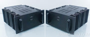 Lamm Industries M1.2 Reference Monoblock Amplifiers