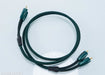 AudioQuest Evergreen RCA Cables