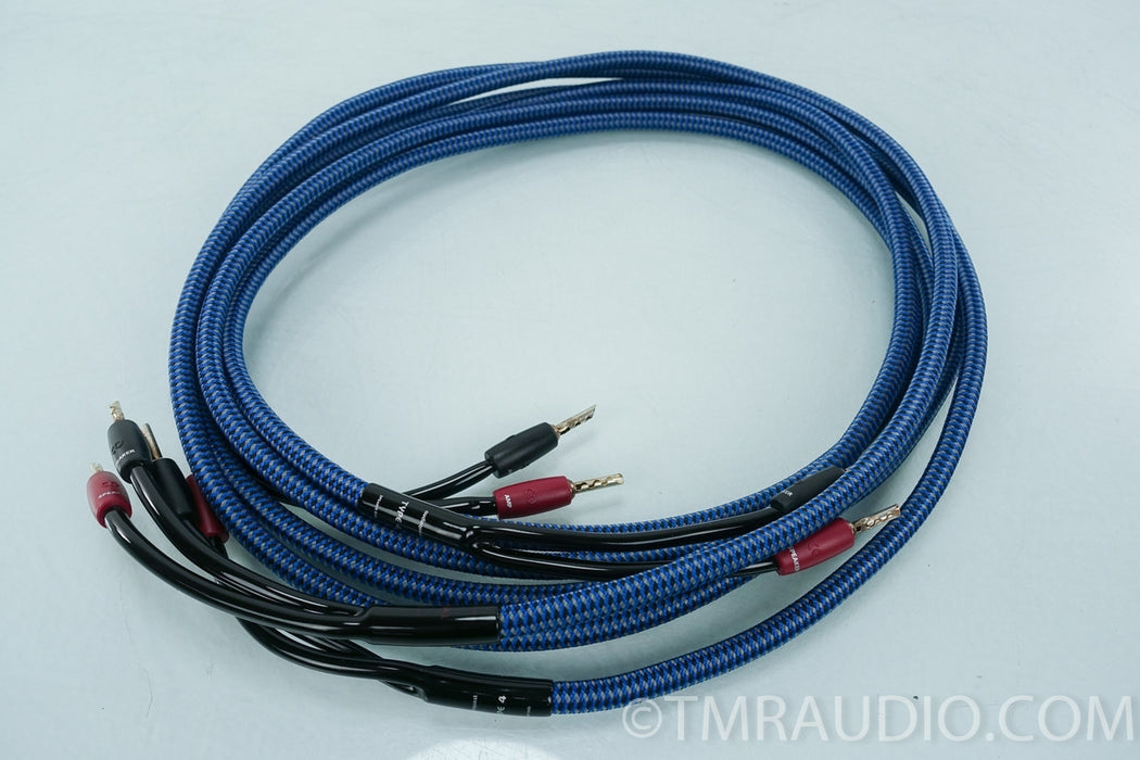 Audioquest Type 4 Speaker Cables