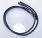 NBS Signature XLR Cables