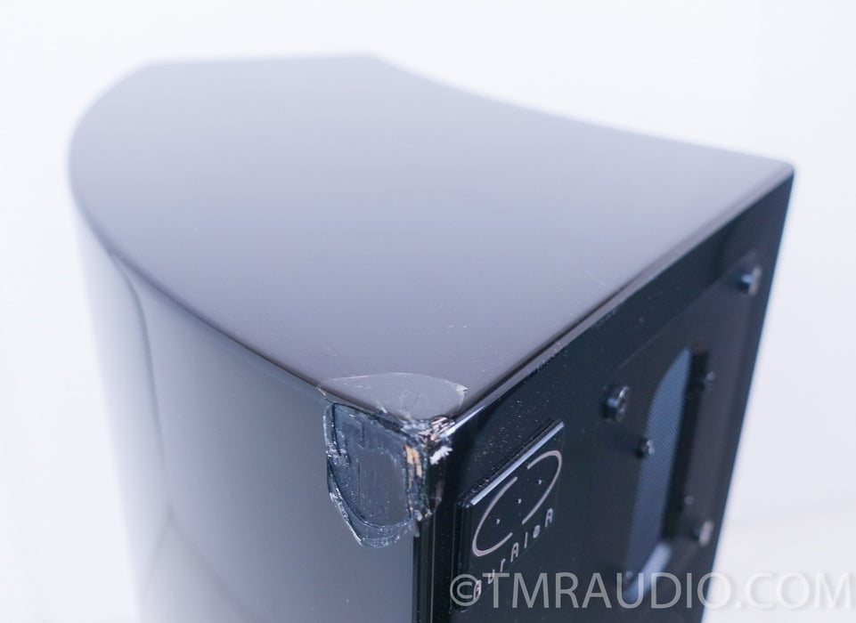 Capriccio Auralea 309 Speakers (Made in Italy)