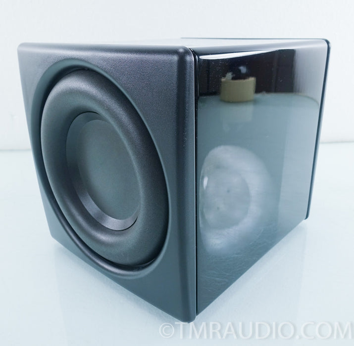 Sunfire True Subwoofer Super Junior Subwoofer
