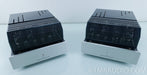 PrimaLuna ProLogue Seven Tube Mono Power Amplifiers