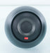 Gallo A'Diva Ti Speakers