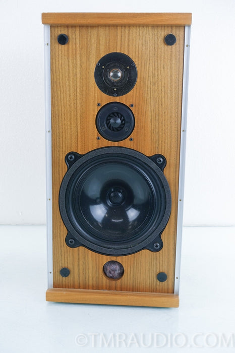 B&W DM4 Vintage Speakers
