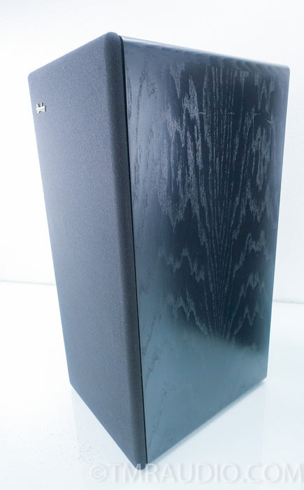 Dunlavy SM 1 Speakers