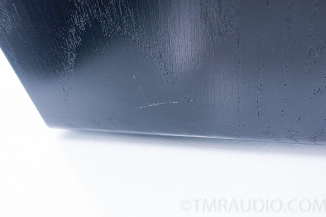 Dunlavy SM 1 Speakers