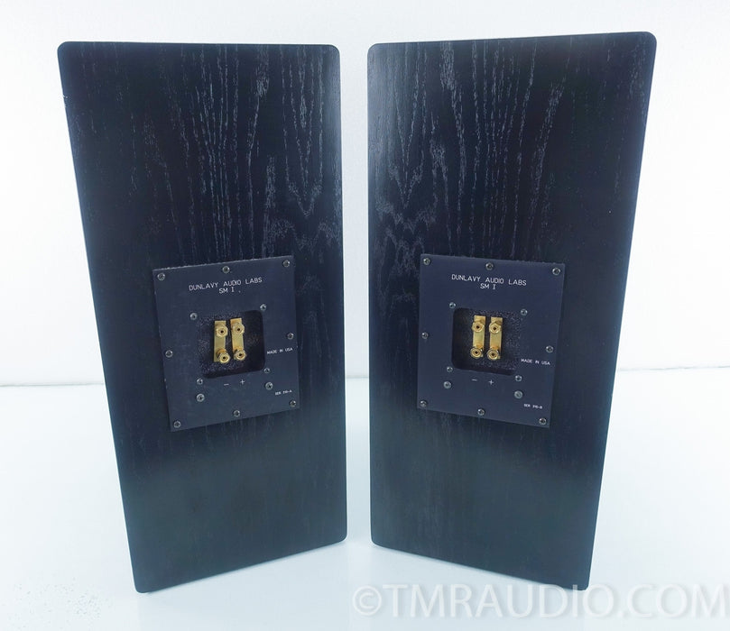 Dunlavy SM 1 Speakers