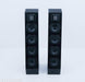 Anthony Gallo Acoustics Nucleus Classico Series IV Floorstanding Speakers