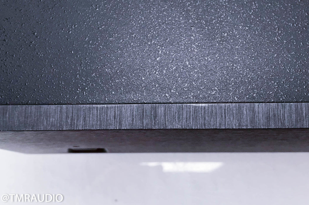 Aragon 2004 mk ii Dual Mono Power Amplifier