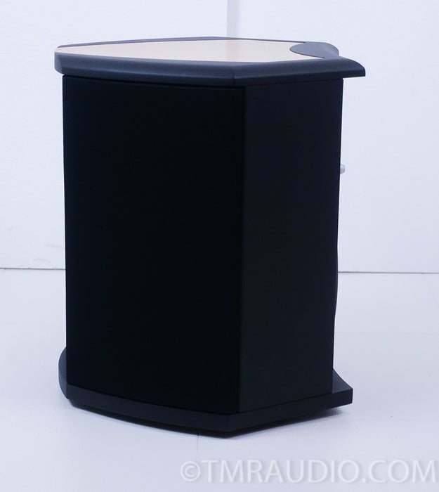 Martin Logan Descent Powered Subwoofer