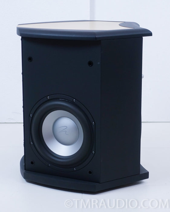 Martin Logan Descent Powered Subwoofer