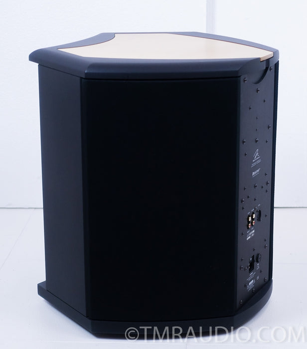 Martin Logan Descent Powered Subwoofer