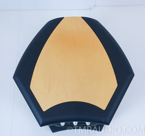 Martin Logan Descent Powered Subwoofer