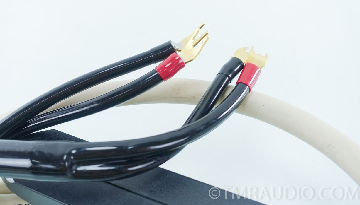 Transparent Audio MusicWave Plus Speaker Cables