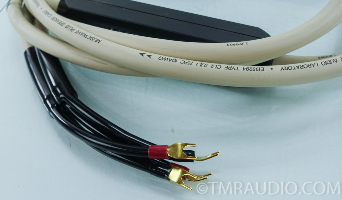 Transparent Audio MusicWave Plus Speaker Cables
