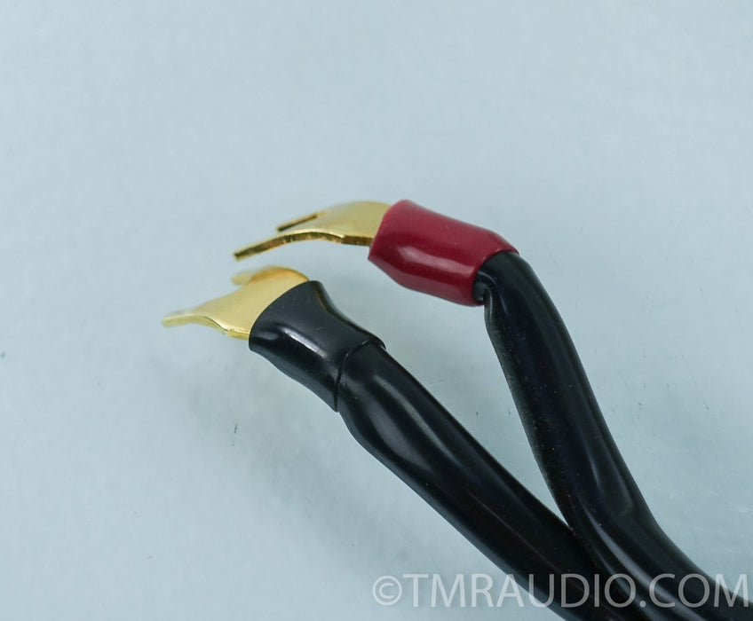 Transparent Audio MusicWave Plus Speaker Cable