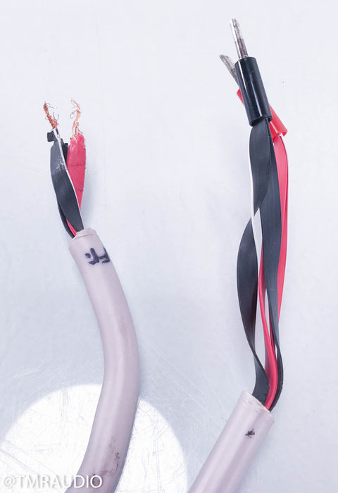 Wireworld Solstice 6 Speaker Cable