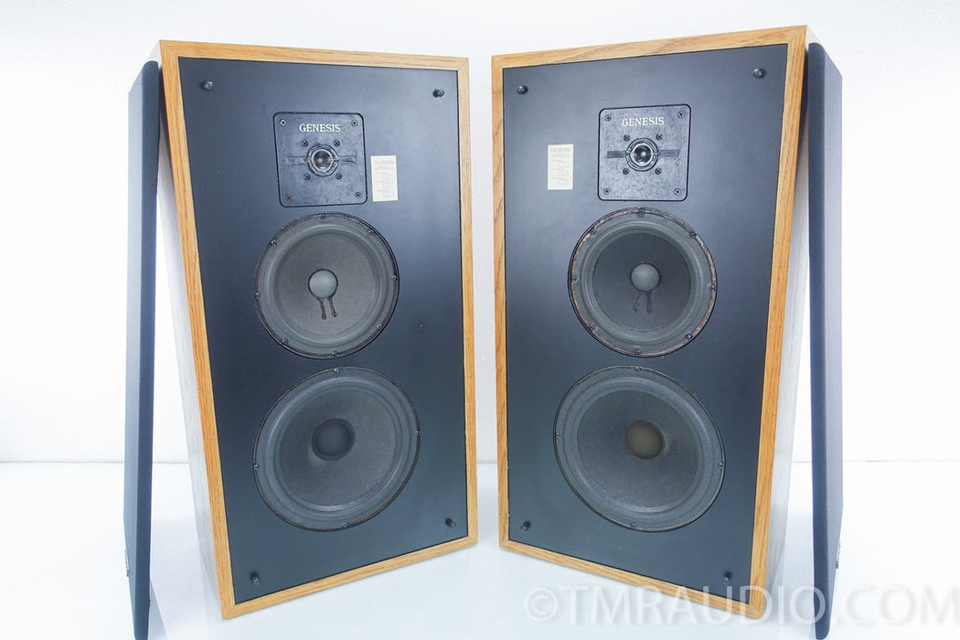Genesis Physics Model 210 Vintage Speakers