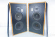 Genesis Physics Model 210 Vintage Speakers