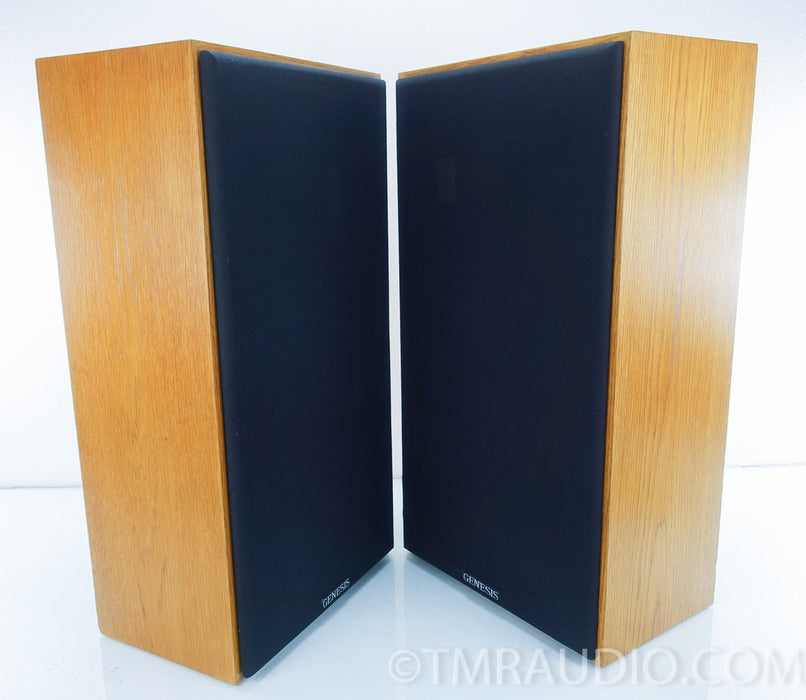 Genesis Physics Model 210 Vintage Speakers