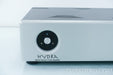 Rogue Hydra Hybrid Tube Class D Power Amplifier
