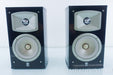 Yamaha NS-333 Bookshelf Speakers