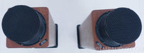 Ohm Acoustics Walsh 1000 Tall Speakers